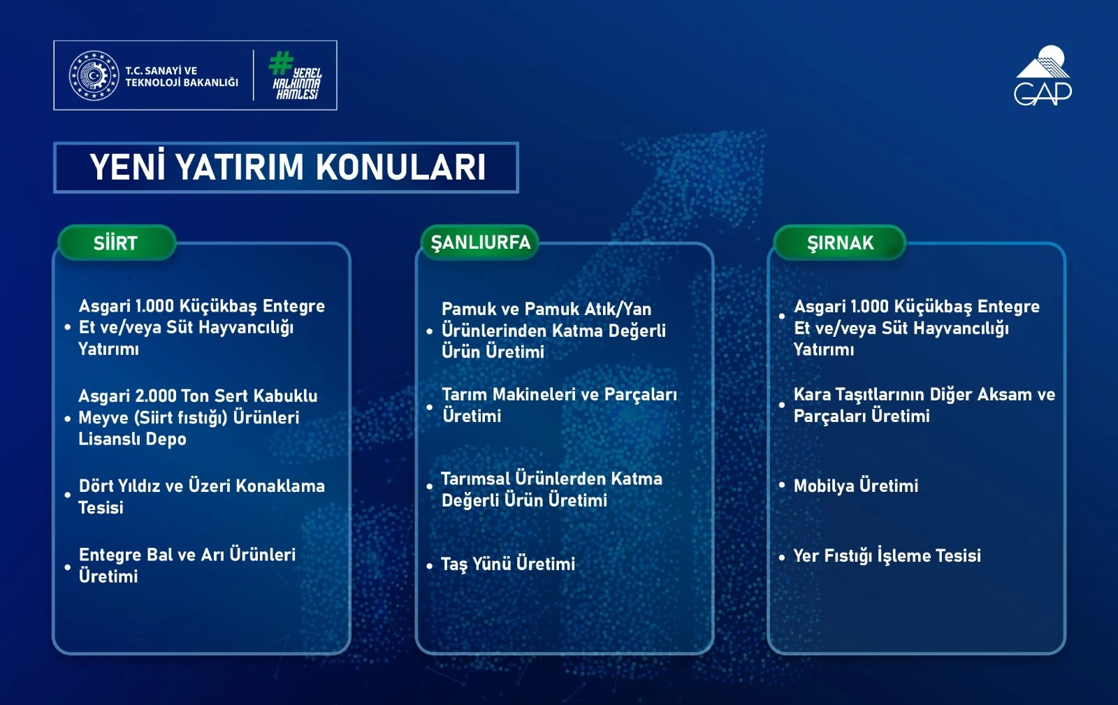 2026 Yılı Yerel Kalkınma Hamlesi Teşvik Programı GAP Bölgesi Yatırım Konuları Yayımlandı