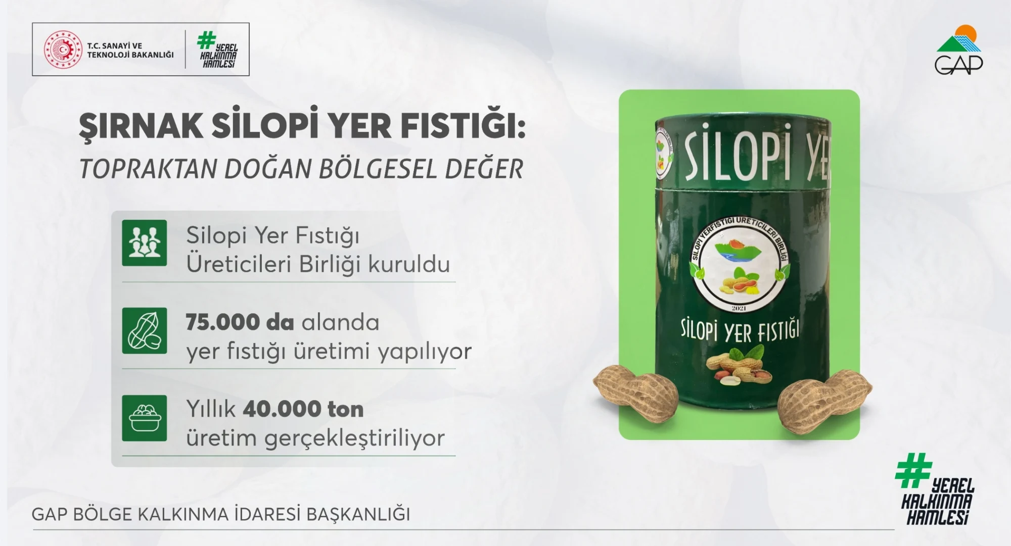 Şırnak Silopi Yer Fıstığı Markalaşma Yolunda İlerliyor