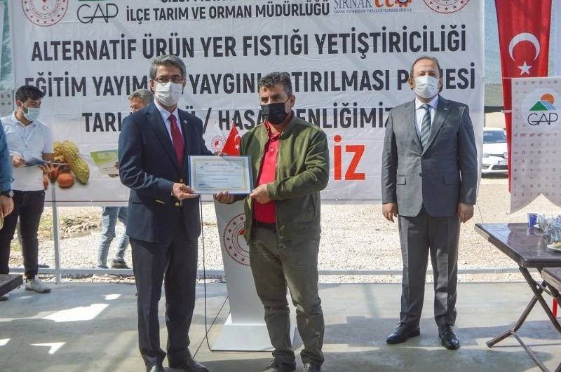 Silopi’de Yer Fıstığının Markalaşma Serüveni Başlıyor