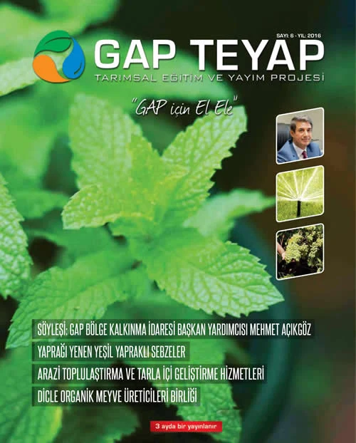 GAP TEYAP Dergisi Ekim 2016