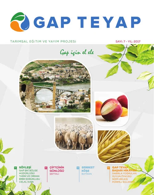 GAP TEYAP Dergisi Mart 2017