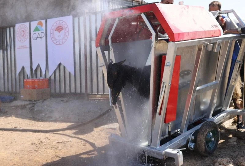 Adıyaman’da Küçükbaş Hayvan Yetiştiricilerine Destek
