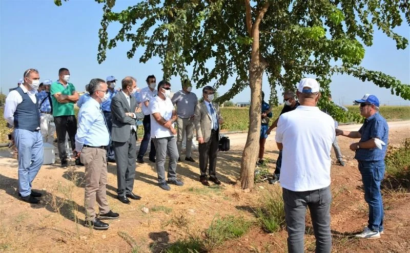 “Pamuğun Dijital Serüveni” Projesi Kapsamında Yapılan Çalışmalar Yerinde İncelendi