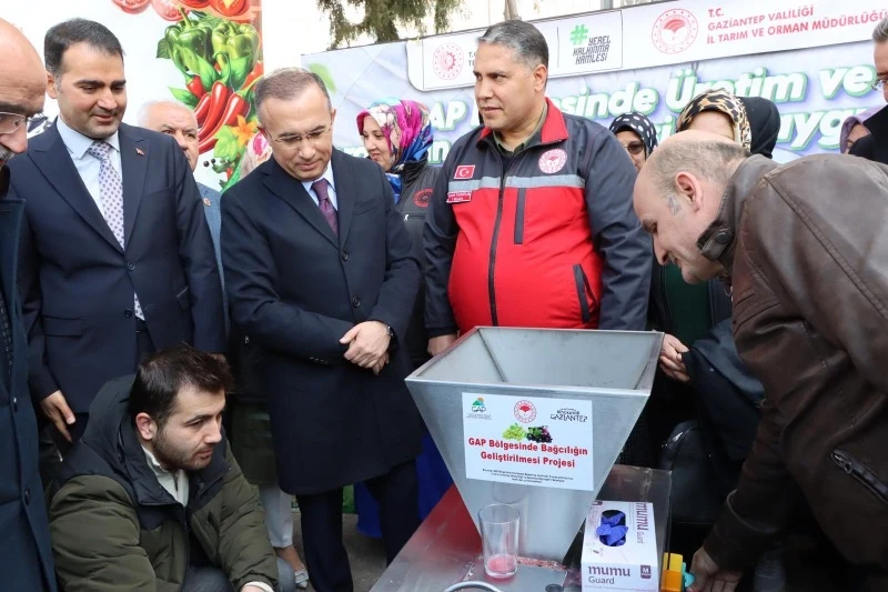 Gaziantep'te Modern Tarım Yaygınlaşıyor, Üretimde Verim Artıyor