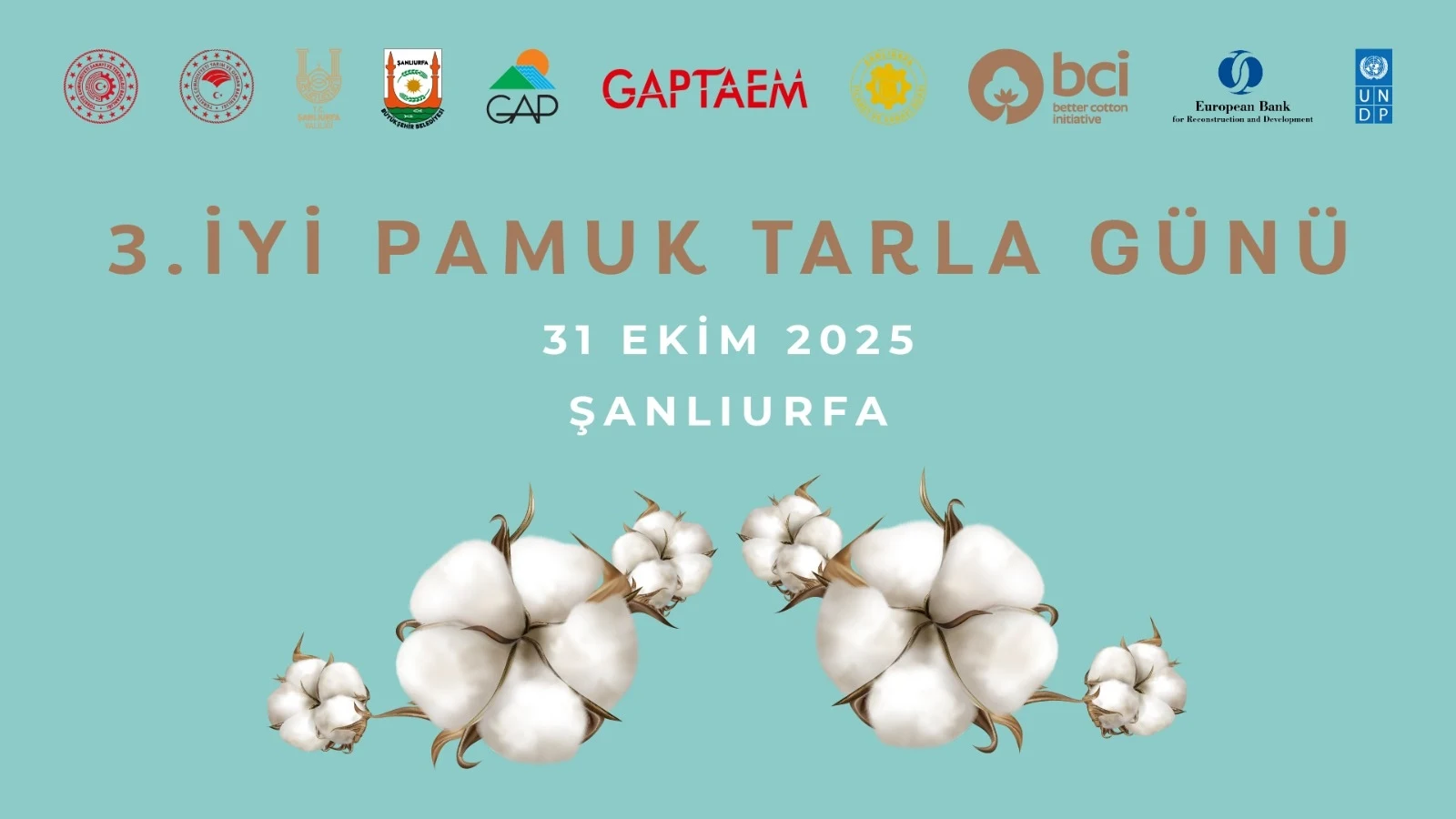 3. İyi Pamuk Tarla Günü Etkinliği Şanlıurfa’da Düzenlendi