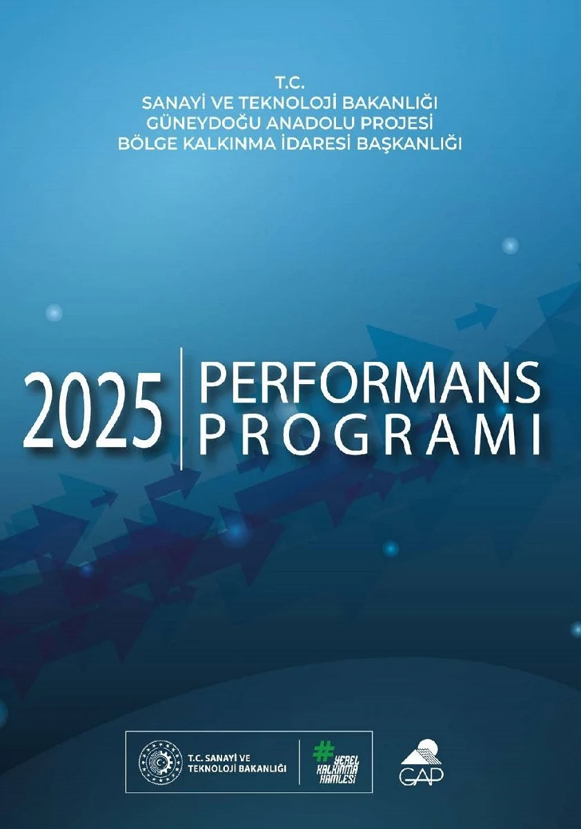2025 Performans Programı