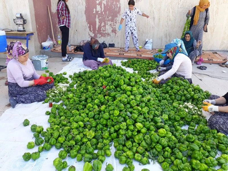 Girişimci Kadınlardan Başkanımıza Ziyaret
