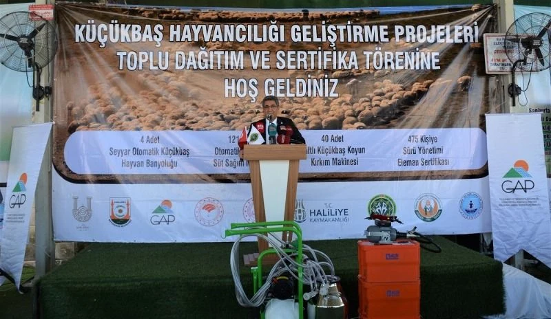 Şanlıurfa’da Küçükbaş Hayvancılığı Geliştirme Projeleri Toplu Dağıtım ve Sertifika Töreni düzenlendi