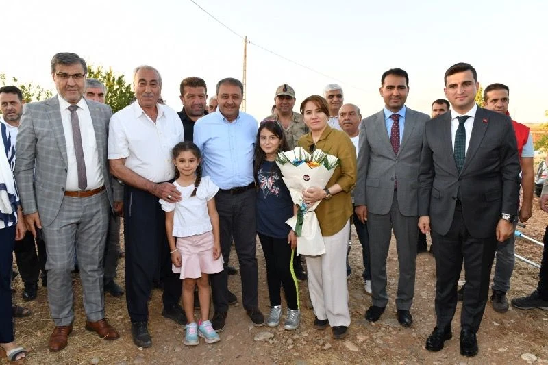 Şanlıurfa'nın Hilvan İlçesinde Badem Üretiminde Verim Artıyor