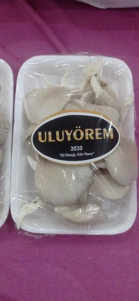 Uluyörem Projesi ile Uludere Markalaşıyor