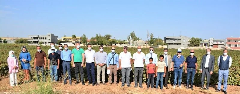 “Pamuğun Dijital Serüveni” Projesi Kapsamında Yapılan Çalışmalar Yerinde İncelendi