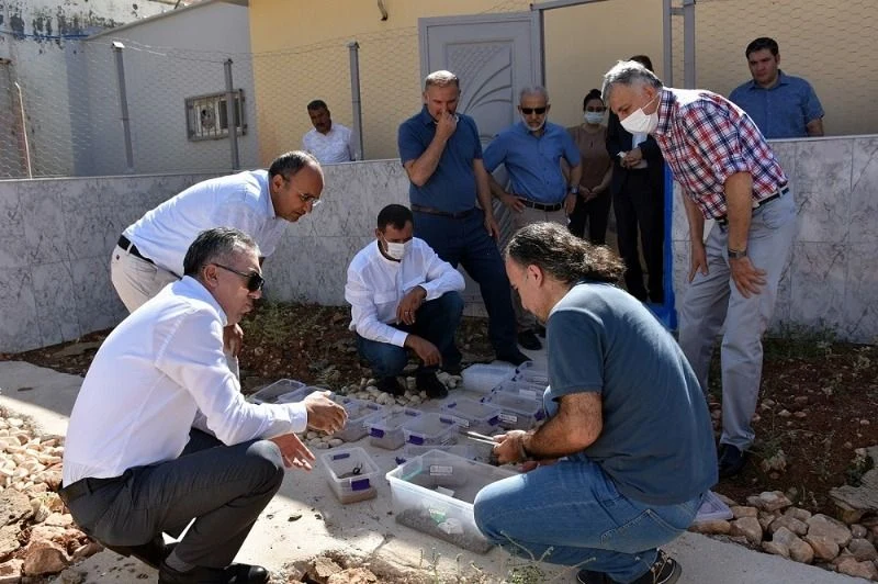 GAP İdaresi Desteğiyle Harran Üniversitesi'nde kurulan Akrep Venom Merkezinde Açık Alan Bahçesi Yapıldı